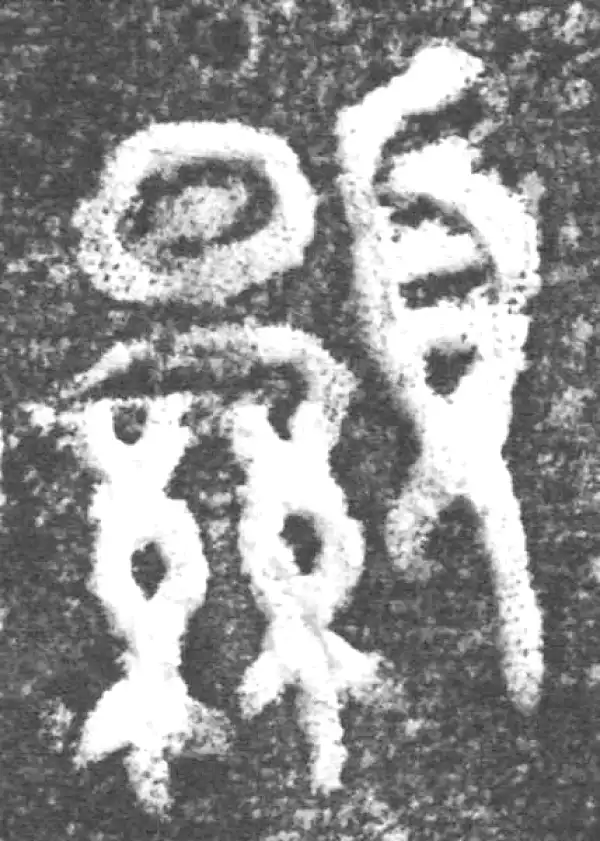 金文·南宫乎钟·显