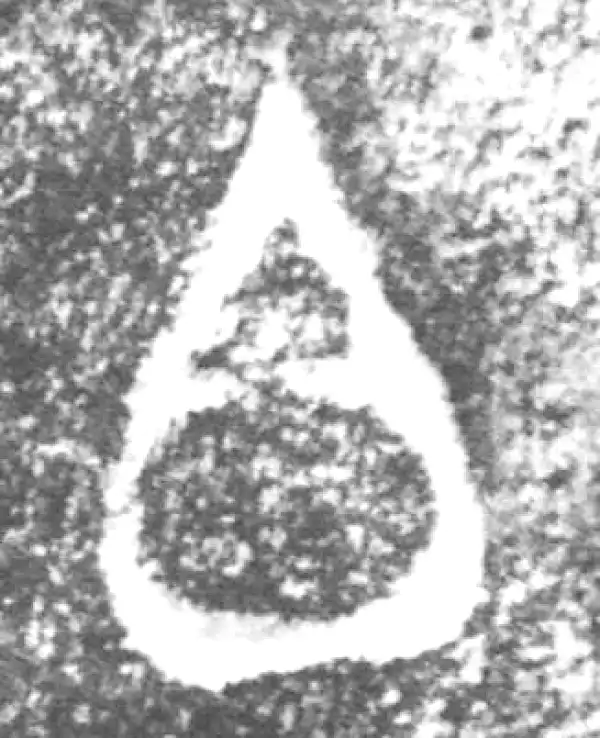 金文·伯辛父鼎·白