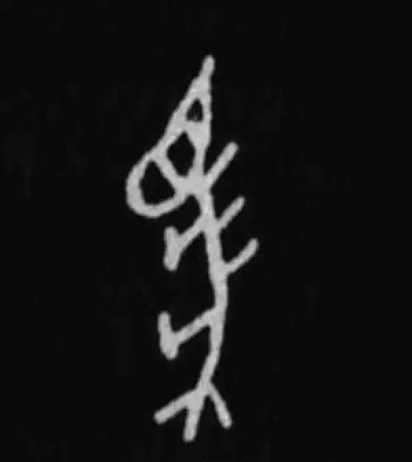 殷墟甲骨文·马