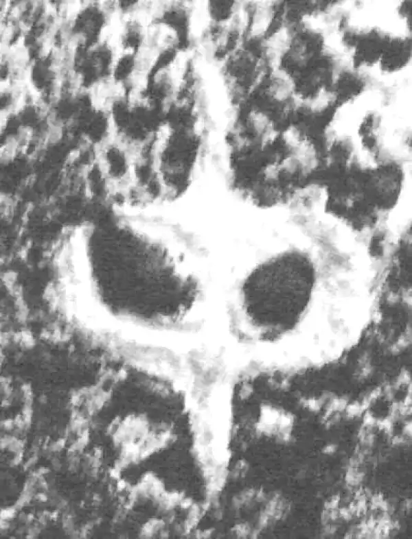 金文·仲南父壶·中