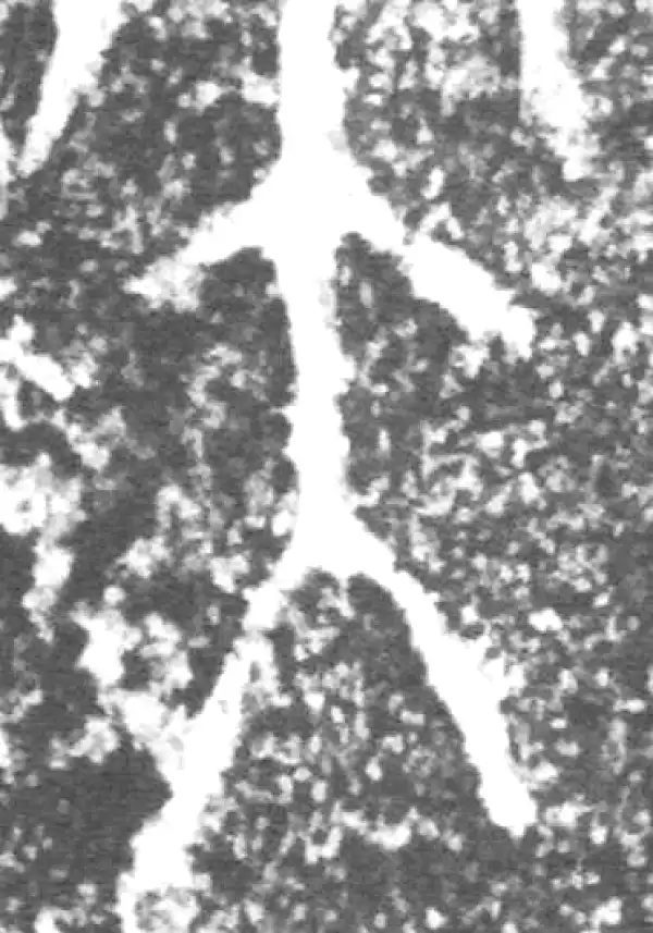 金文·朕匜盖·大