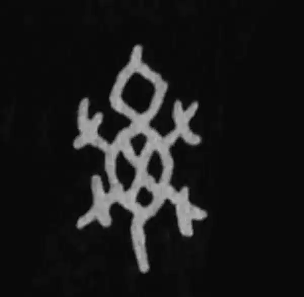 殷墟甲骨文·龜