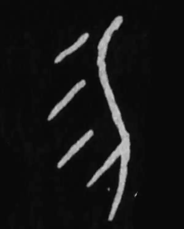 殷墟甲骨文·勿