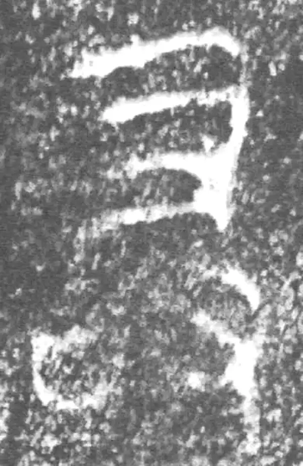 金文·朕匜盖·敢