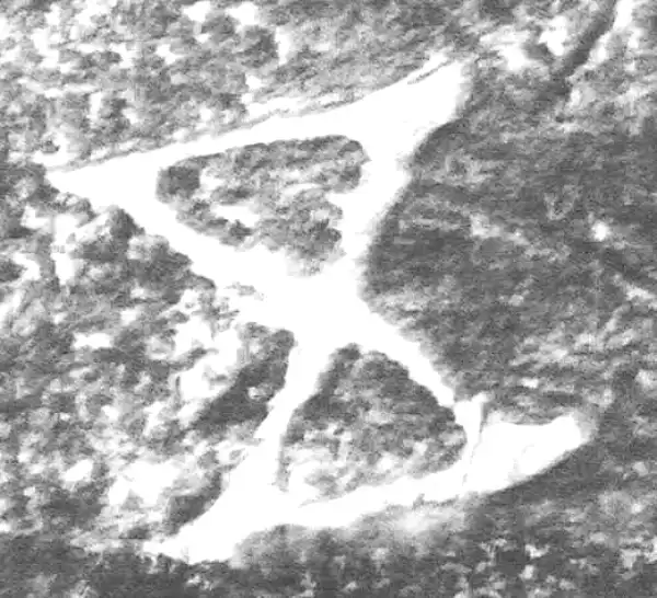 金文·四十二年逑鼎乙·五