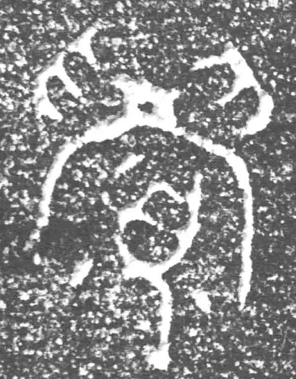 金文·四十三年逨鼎·眉