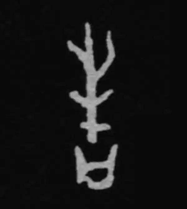 殷墟甲骨文·告