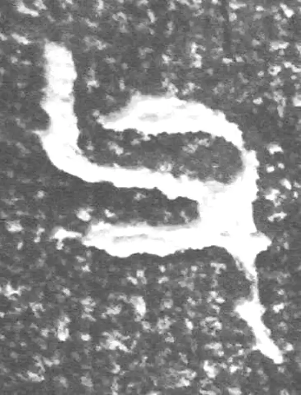 金文·四十二年逑鼎乙·父