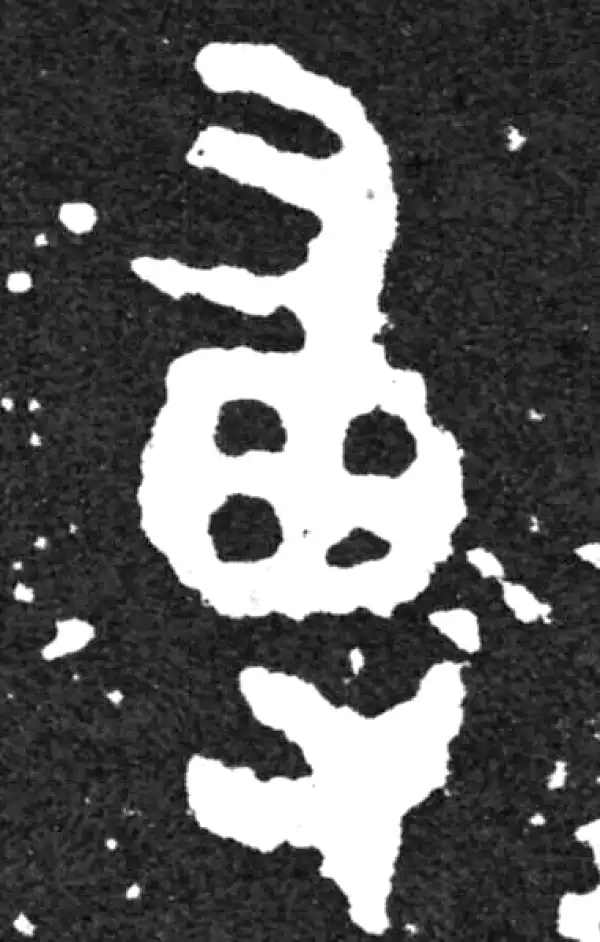 金文·毛公鼎铭文·專