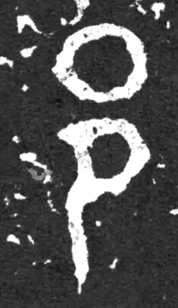 金文·毛公鼎铭文·邦