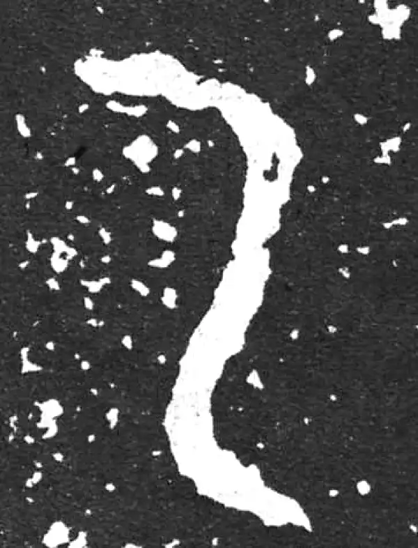 金文·散氏盘铭文·乙