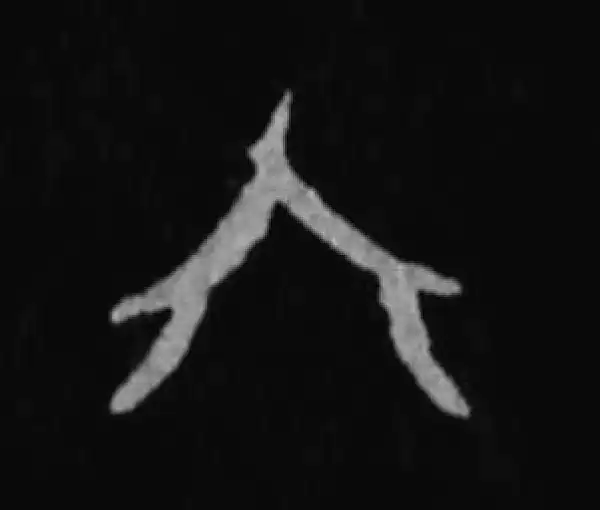 殷墟甲骨文·六