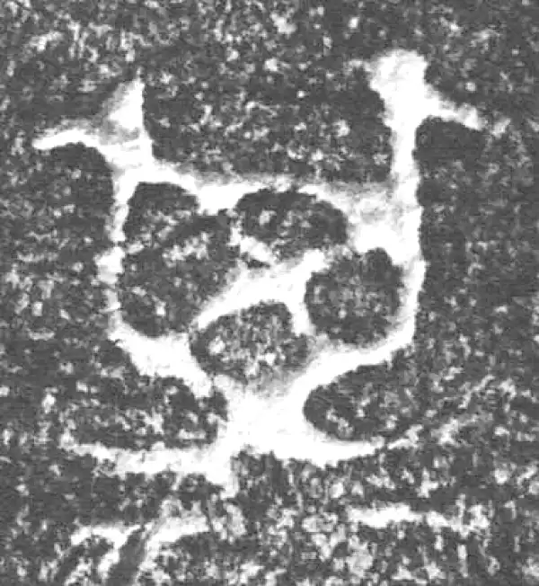 金文·四十三年逨鼎·其