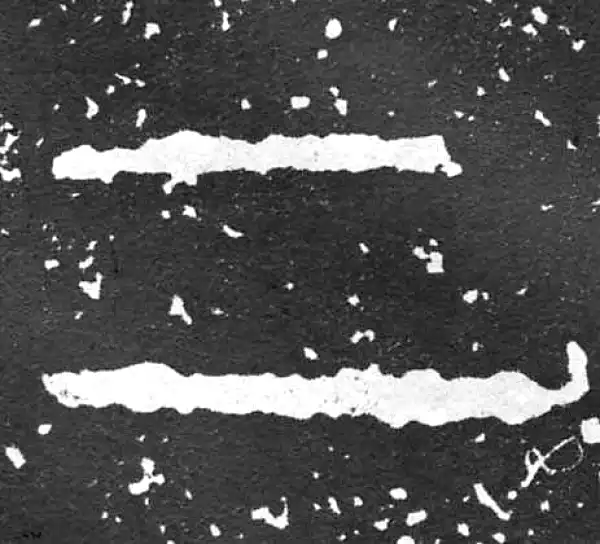 金文·散氏盘铭文·二