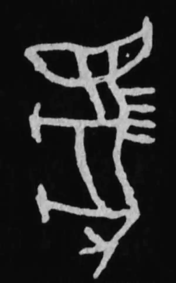 殷墟甲骨文·馬