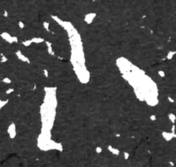 金文·毛公鼎铭文·小