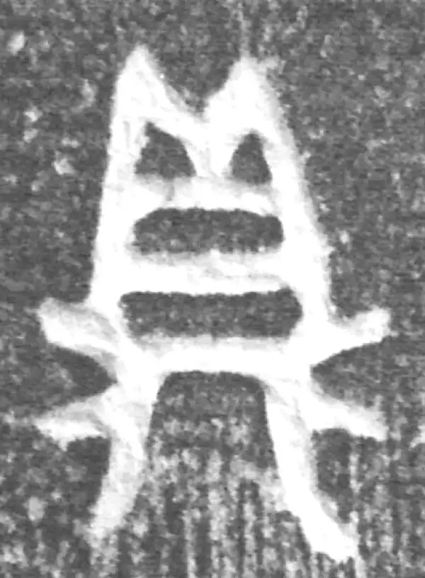 金文·(冬戈)方鼎甲·鼎