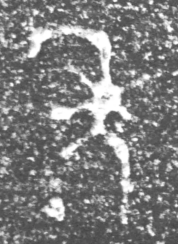 金文·四十三年逨鼎·年