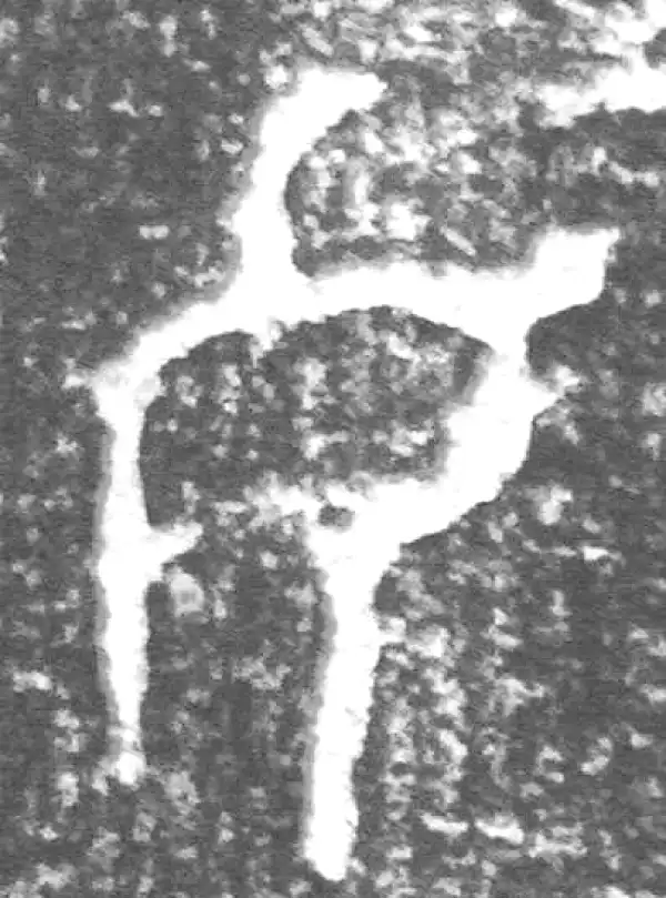 金文·四十二年逑鼎乙·女