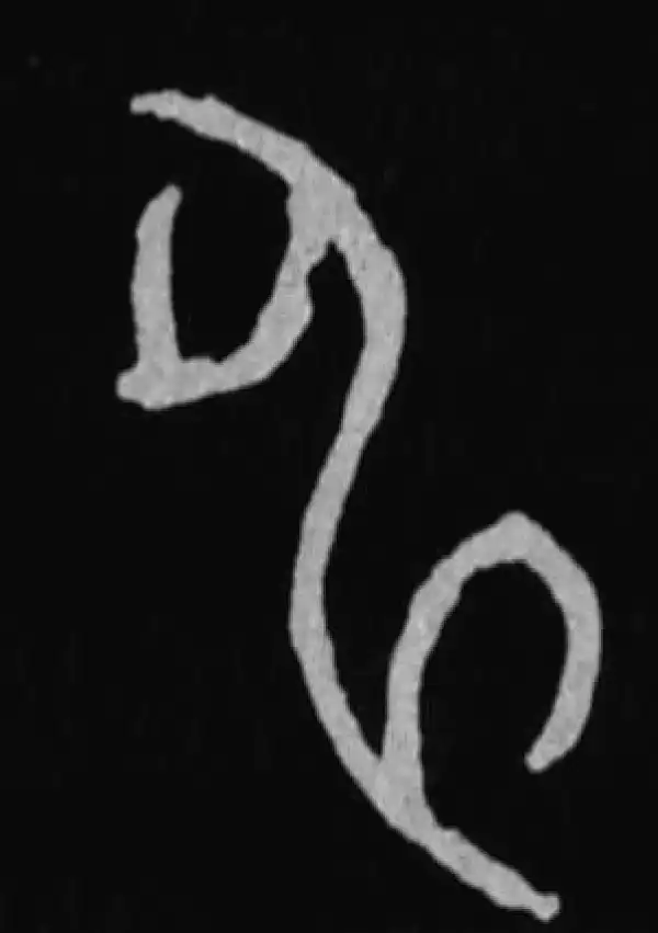 殷墟甲骨文·申