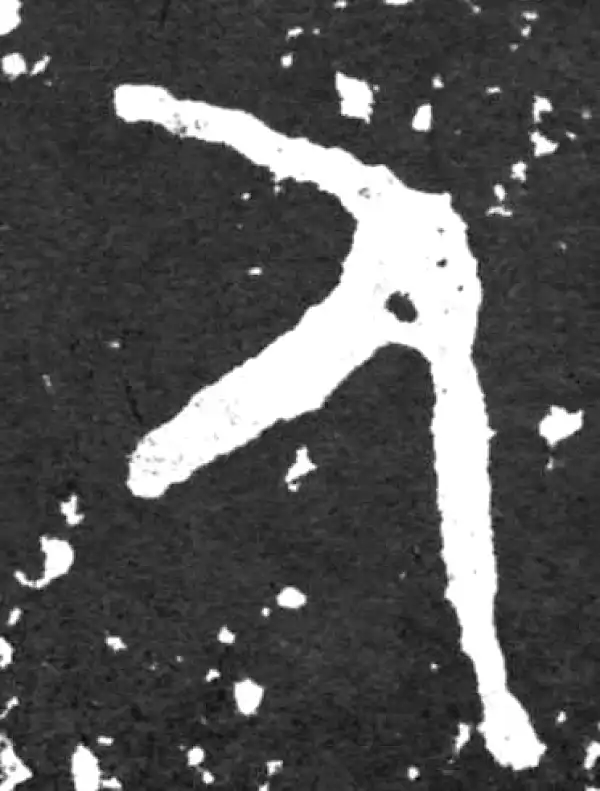 金文·毛公鼎铭文·人