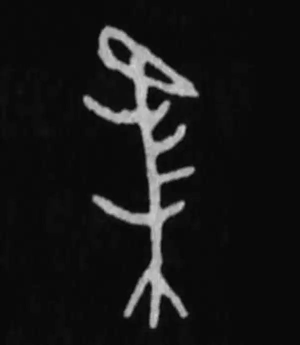 殷墟甲骨文·马