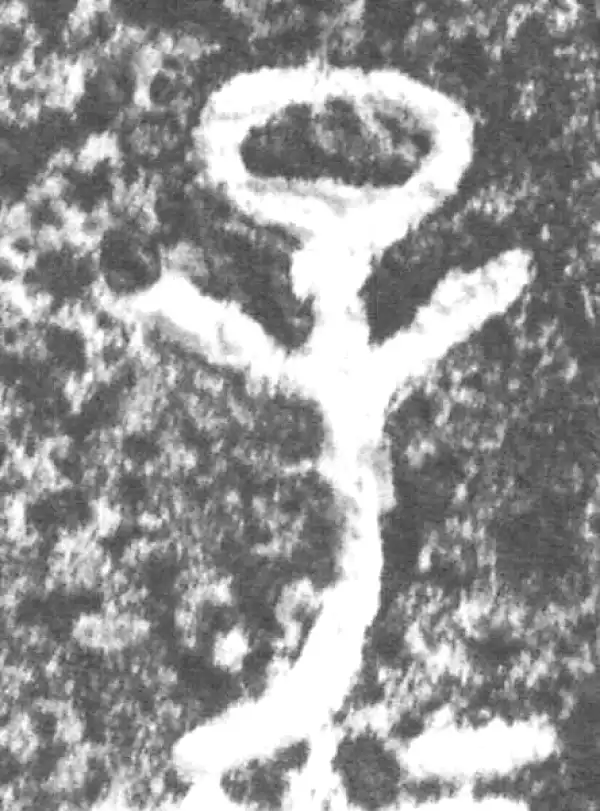 金文·仲南父壶·子