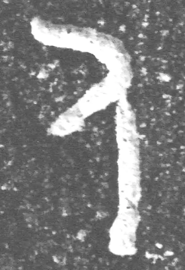 金文·裘卫盉·人