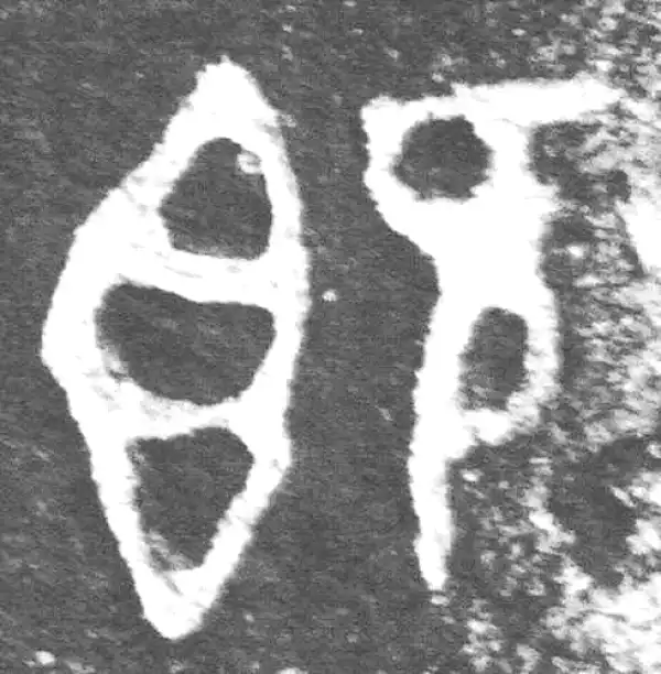 金文·裘卫簋·既