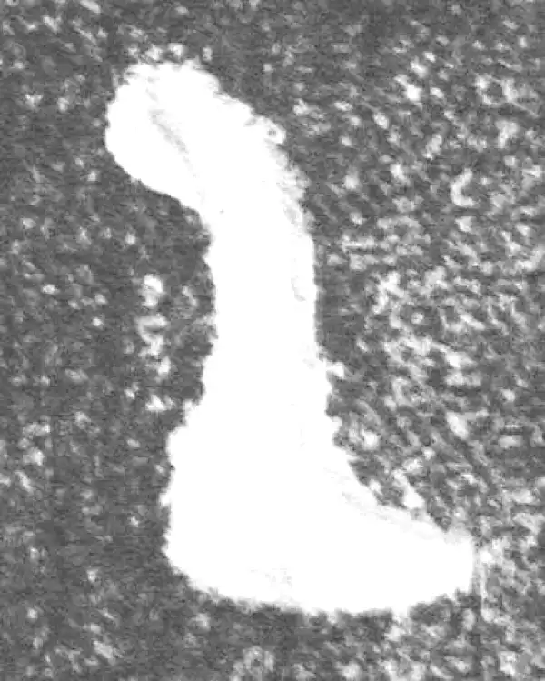 金文·(冬戈)簋·乙