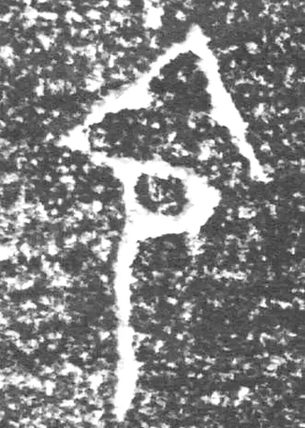 金文·四十三年逨鼎·今