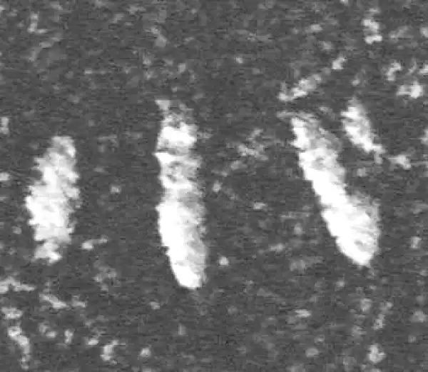 金文·裘卫盉·小