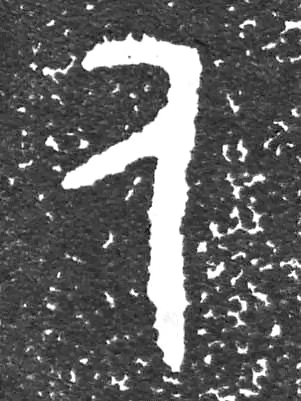 金文·大盂鼎铭文·人