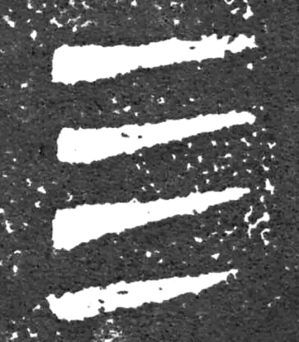 金文·大盂鼎铭文·四