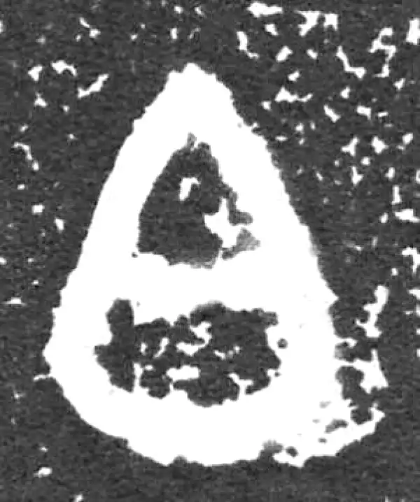 金文·大盂鼎铭文·白