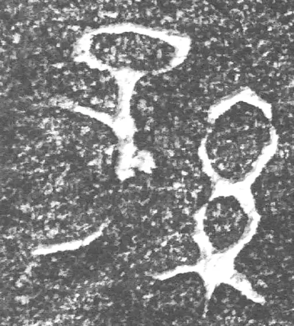 金文·四十三年逨鼎·孙