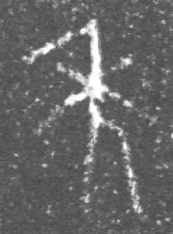 金文·泰公镈甲·年