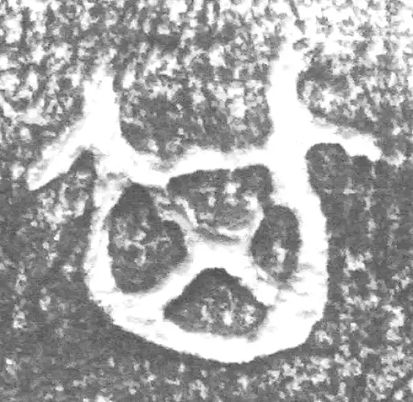 金文·四十二年逑鼎乙·其