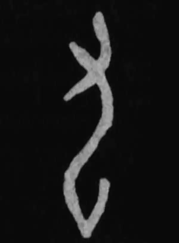 殷墟甲骨文·九