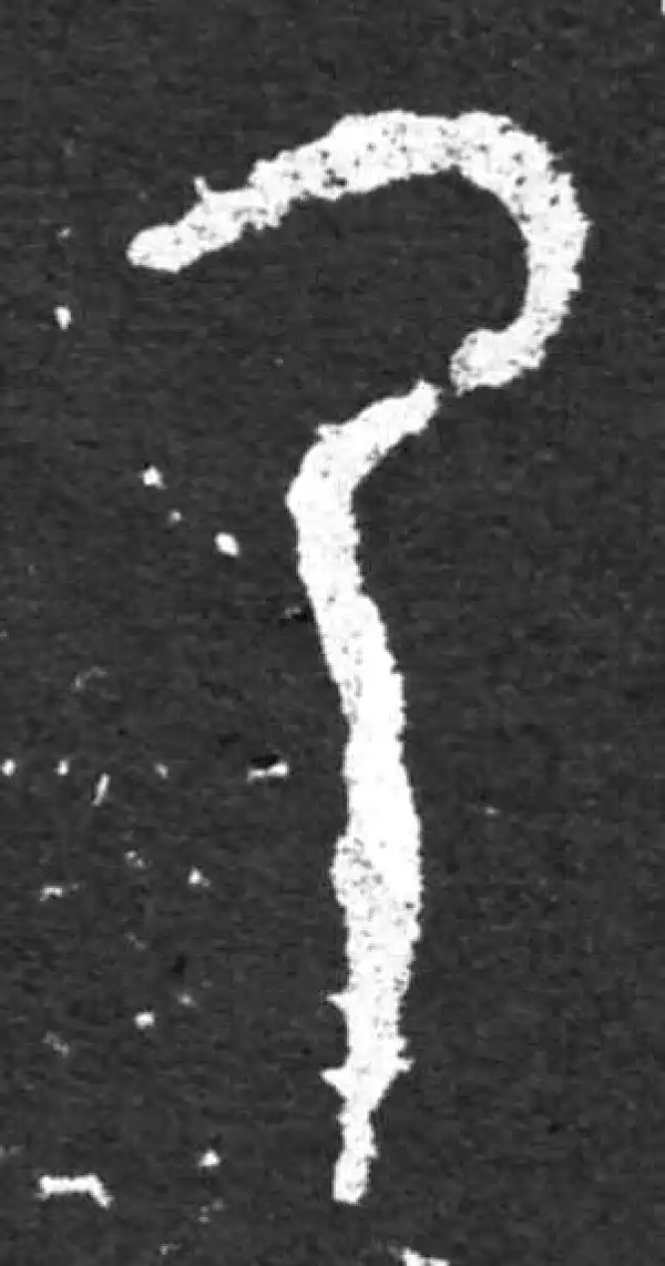 金文·毛公鼎铭文·乃