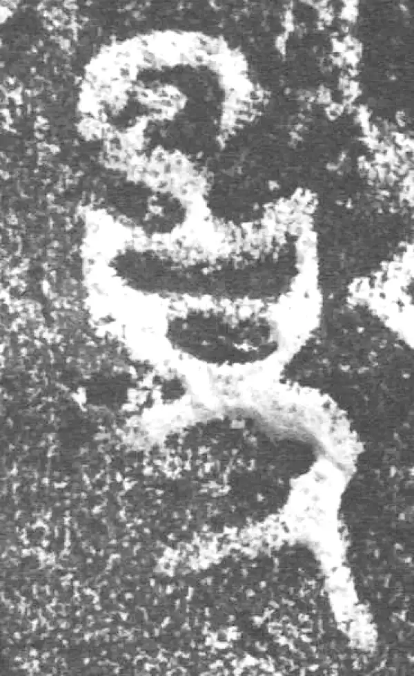 金文·公臣簋·揚