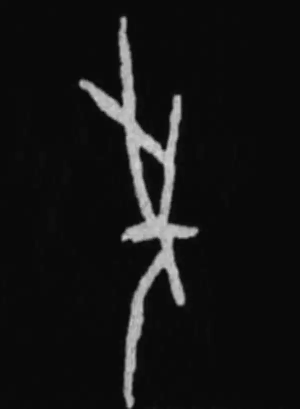 殷墟甲骨文·先