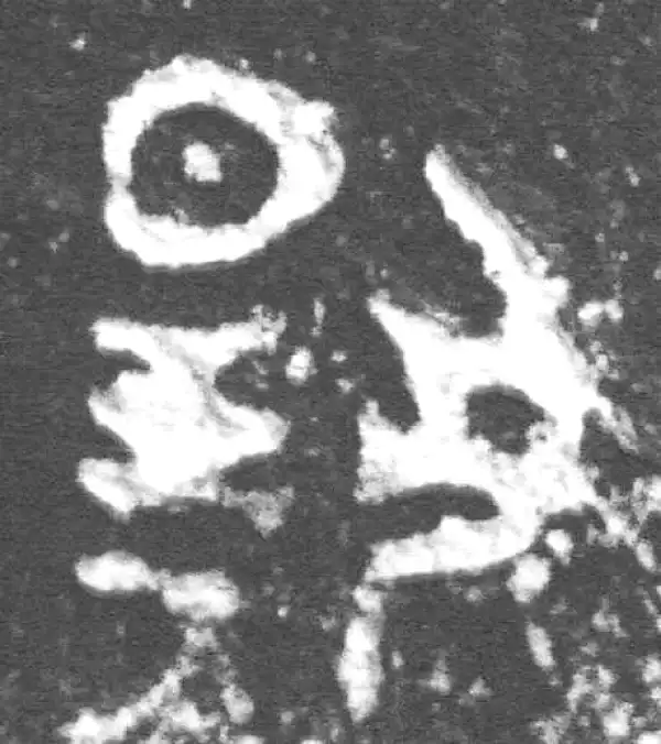 金文·裘卫簋·扬