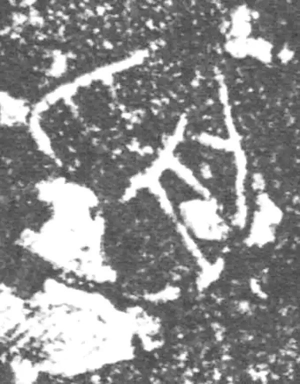 金文·泰公镈甲·受