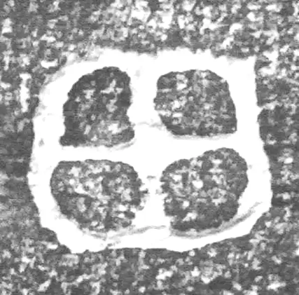 金文·四十二年逑鼎乙·田