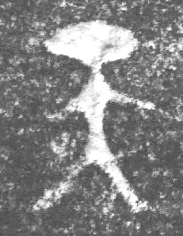 金文·四十三年逨鼎·天