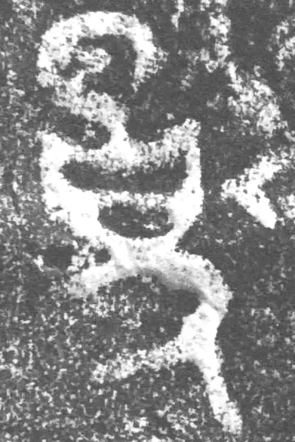 金文·公臣簋·扬