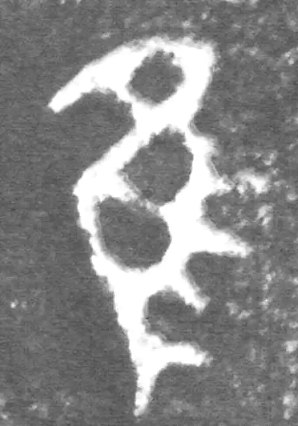 金文·伯宽父盨乙·隹