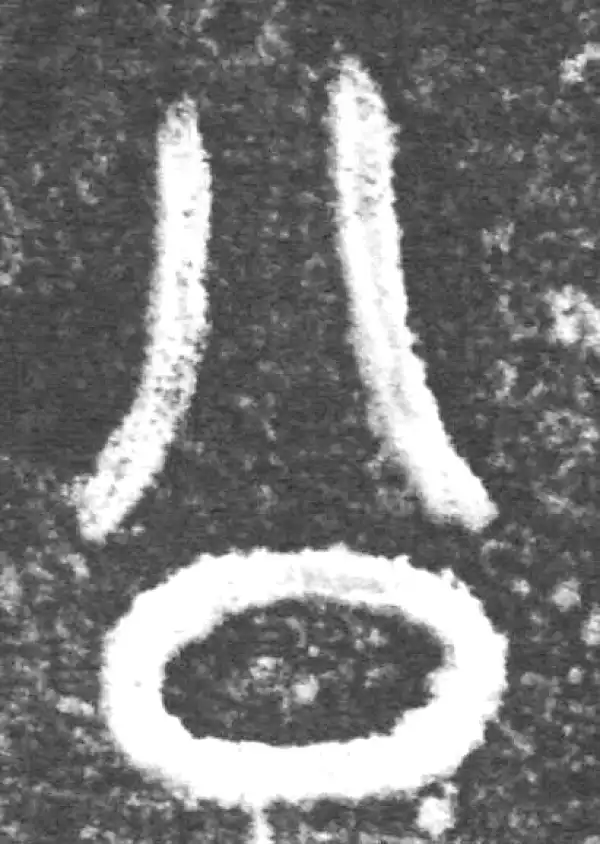 金文·南宫乎钟·公