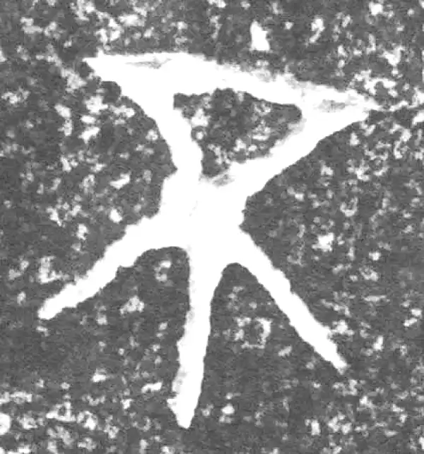 金文·四十二年逑鼎乙·不